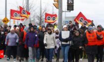 اعتصاب کارکنان دولت در کانادا روند رسیدگی به مهاجرت را با مشکل مواجه می کند